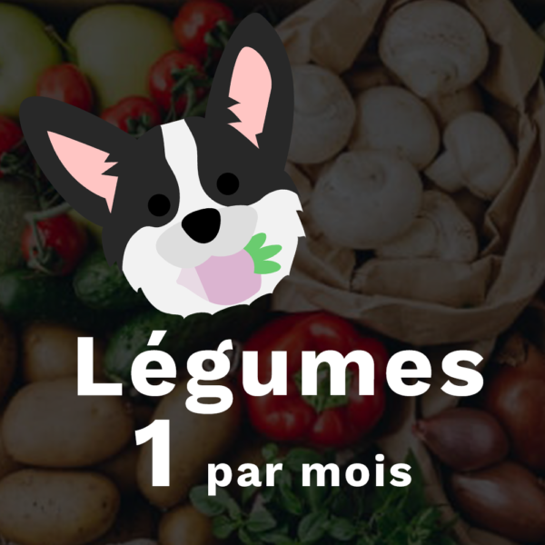 Le Potager - 1 par mois