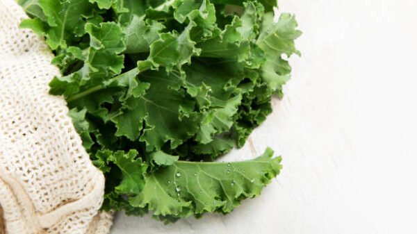 Frisée pièce