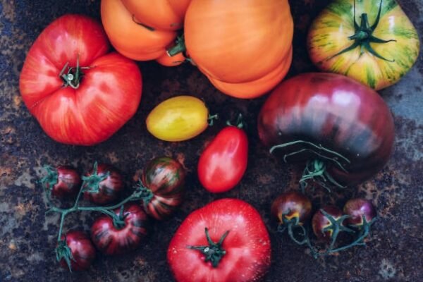 Tomates anciennes mélange