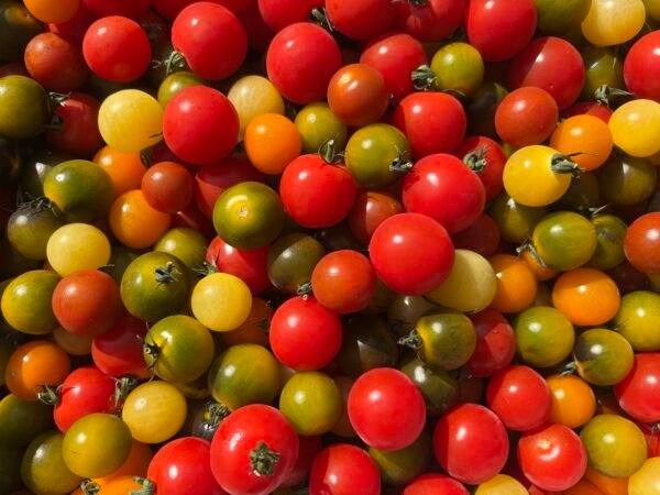 Tomates cerises multicolores 250g