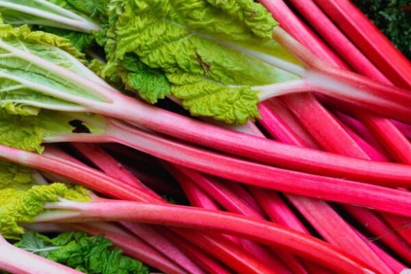 Rhubarbe 500g