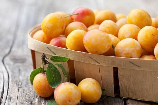 Mirabelles kilo
