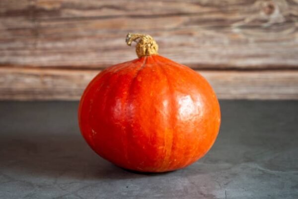 Courge potimarron