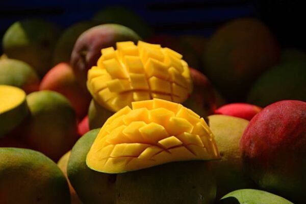Mangue
