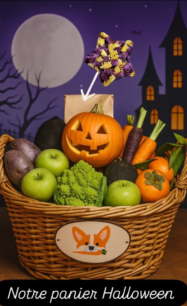 Panier Halloween