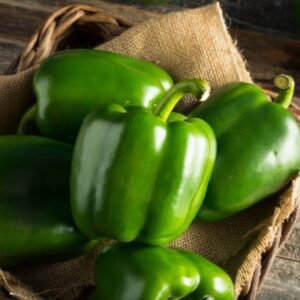 Poivron vert